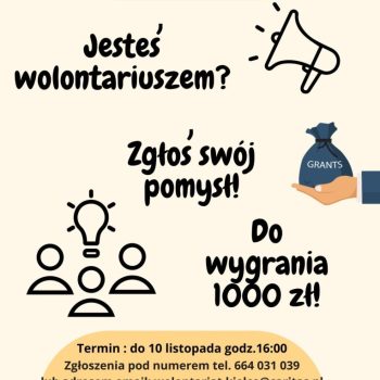 Konkurs na Mini Granty! Sfinansujemy ciekawe pomysły wolontaryjne