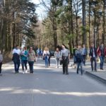 wolontariat kielce