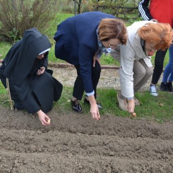 Sadzenie żonkili dla Hospicjum w Miechowie