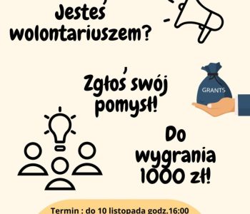 Konkurs na Mini Granty! Sfinansujemy ciekawe pomysły wolontaryjne