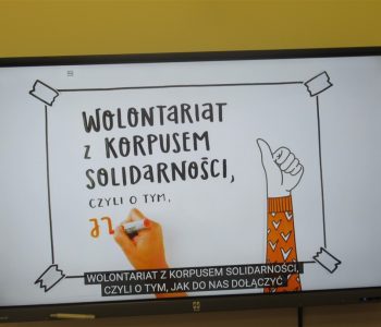 Podsumowanie realizacji Mini Grantów 2023