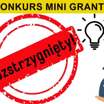 Konkurs na „Mini Granty 2024” rozstrzygnięty