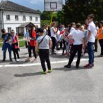 wolontariat kielce