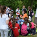 wolontariat kielce