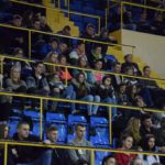 wolontariat kielce