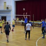 wolontariat kielce