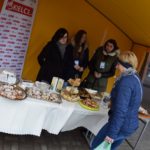wolontariat kielce