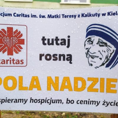 Zasadzili Pola Nadziei w Zagnańsku